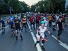 IMG_2664_niesar_2018_07_20dns_kautasit_strecke