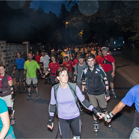 img_1329_bniesar_waldschl_bruecke_dns-kopie