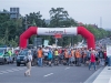 img_1261_bniesar_waldschl_bruecke_dns-kopie