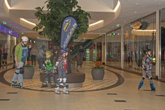 IMG_0006_niesar_20250302_dns_elbepark