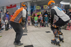 IMG_9942_niesar_20250302_dns_elbepark