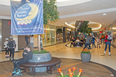 IMG_9957_niesar_20250302_dns_elbepark