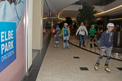 IMG_9962_niesar_20250302_dns_elbepark