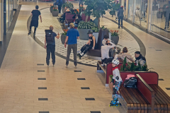 IMG_9998_niesar_20250302_dns_elbepark