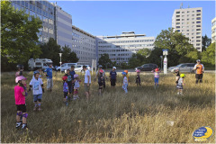 20260807_181547
