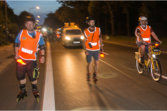 IMG_7256_dns_kautasit_20230811_niesar