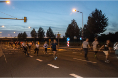 IMG_7260_dns_kautasit_20230811_niesar