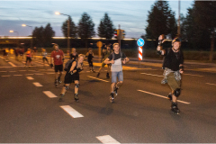 IMG_7262_dns_kautasit_20230811_niesar