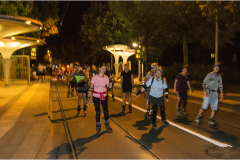 IMG_7317_dns_kautasit_20230811_niesar