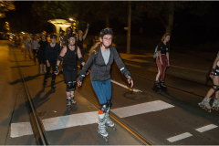 IMG_7323_dns_kautasit_20230811_niesar