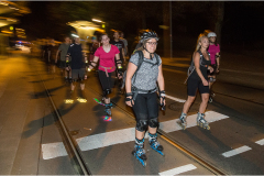 IMG_7327_dns_kautasit_20230811_niesar