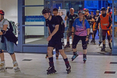 IMG_1404_niesar_20250613dns_elbepark