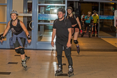 IMG_1438_niesar_20250613dns_elbepark