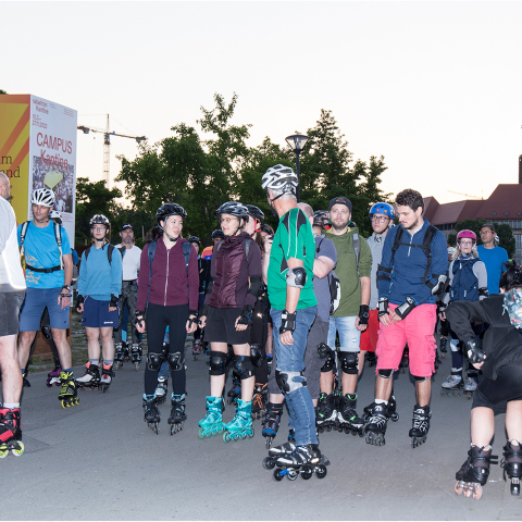 IMG_4601_niesar_2022_07_15_dns_kautasit