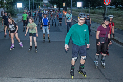 IMG_8418_niesar_dns_kautasit_20240719