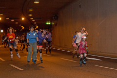 IMG_8428_niesar_dns_kautasit_20240719