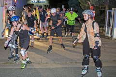 IMG_8490_niesar_dns_kautasit_20240719