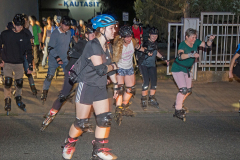 IMG_2063_niesar_20250919dns_kautasit