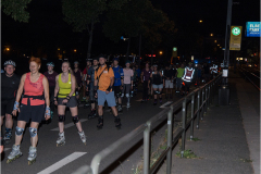 IMG_4859_niesar_2022_07_22_dns_elbepark
