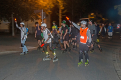 IMG_1921_niesar_20250822dns_kautasit
