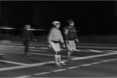 IMG_7528_dns_kautasit_20230922_niesar