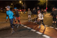 IMG_7583_dns_kautasit_20230922_niesar