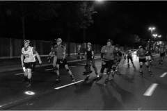 IMG_7354_dns_elbepark_20230825_niesar