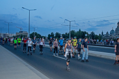 IMG_8556_niesar_dns_elbepark_20240726