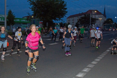 IMG_8558_niesar_dns_elbepark_20240726