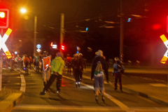 IMG_2202_niesar_20250926dns_elbepark