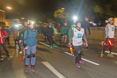 IMG_2204_niesar_20250926dns_elbepark