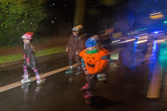 IMG_7671_niesar_dnshalloween