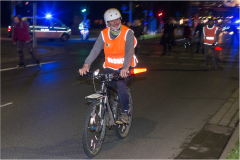 IMG_5906dns_saisoneroeff_20230428_niesar