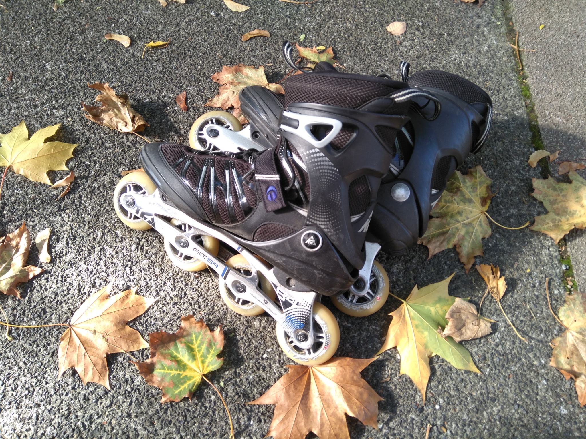 Euer SkateSeptember Dresdner Nachtskaten