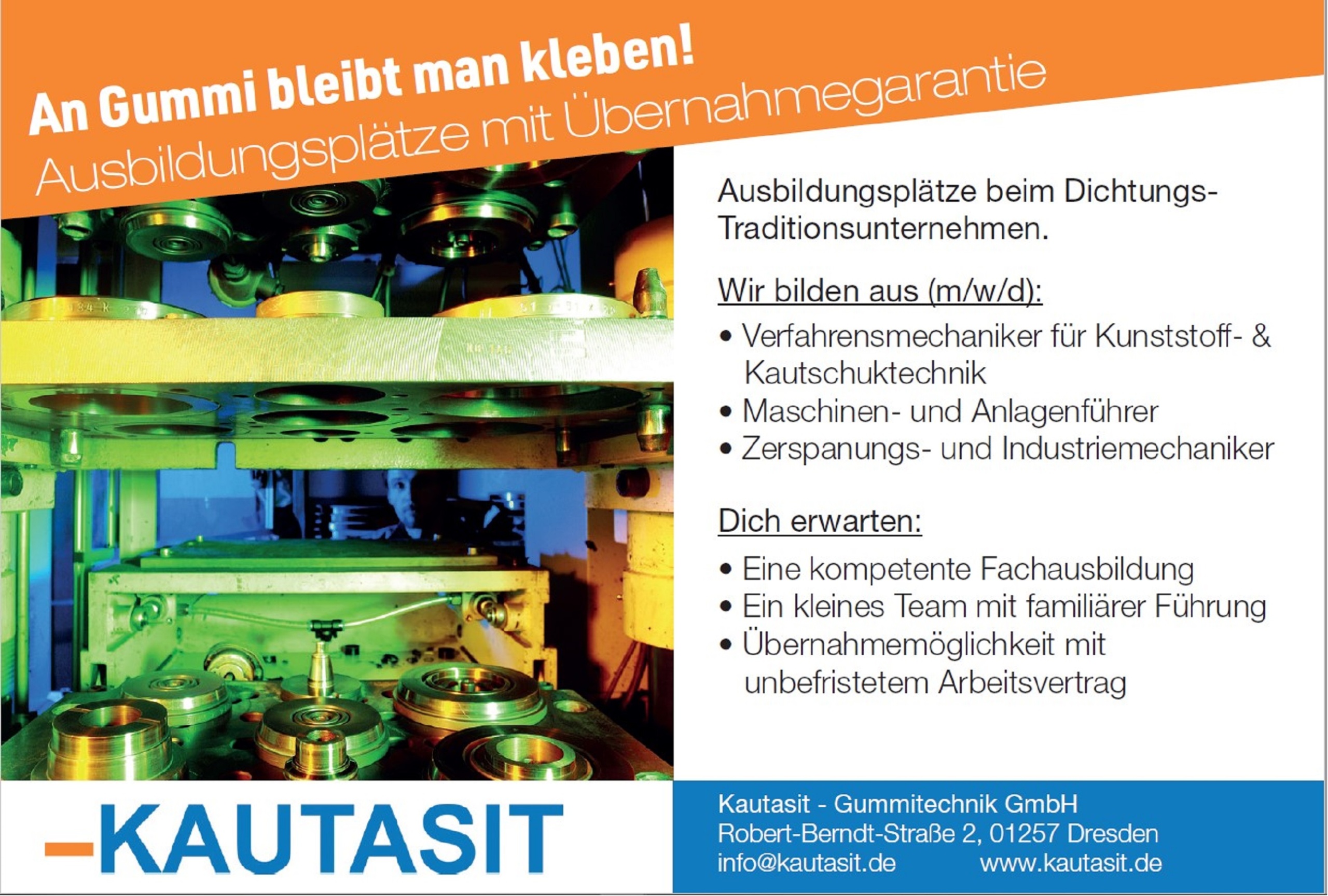 KAUTASIT sucht Verstärkung Dresdner Nachtskaten